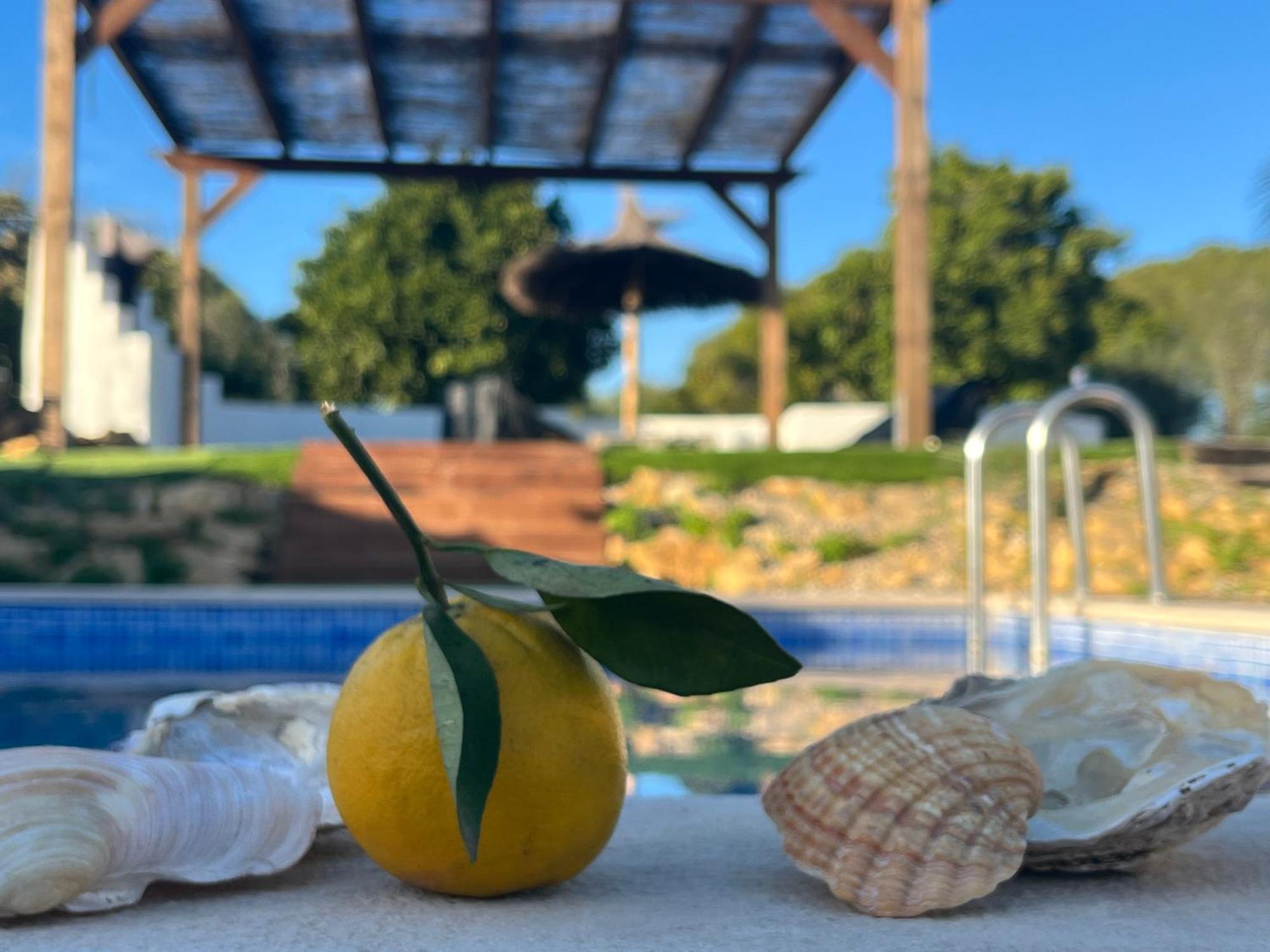 Quinta Da Layla Villa Olhão Kültér fotó